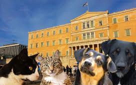 νομοσχέδιο