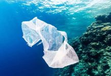Βρέθηκε πλαστική σακούλα στο βαθύτερο σημείο των ωκεανών, στα 10.898 μέτρα πλαστική σακούλα