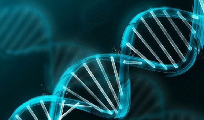 dna