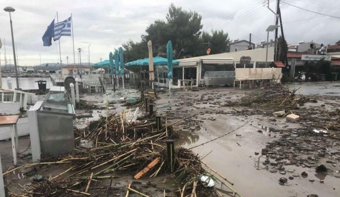 νικήτη
