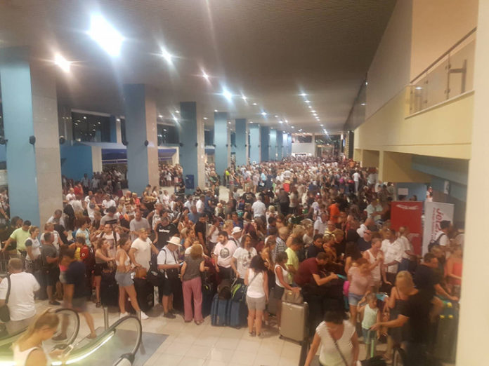 νεκροθάφτης