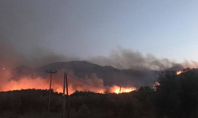 γεράκι