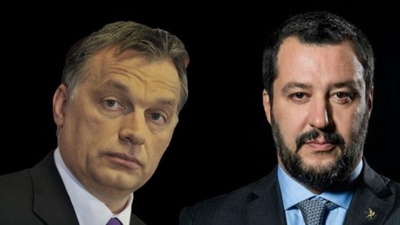 κοινή