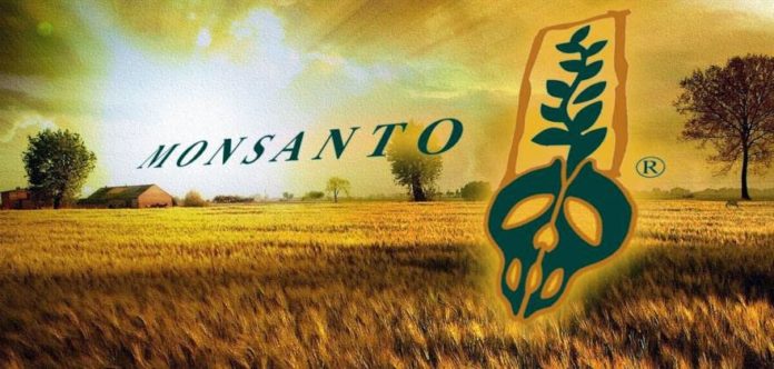 monsanto