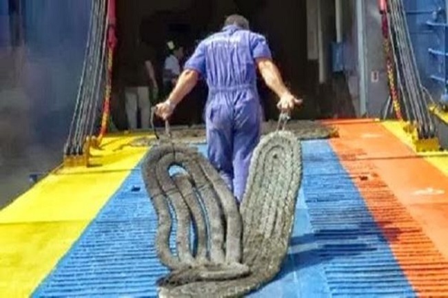 ΠΕΝΕΝ