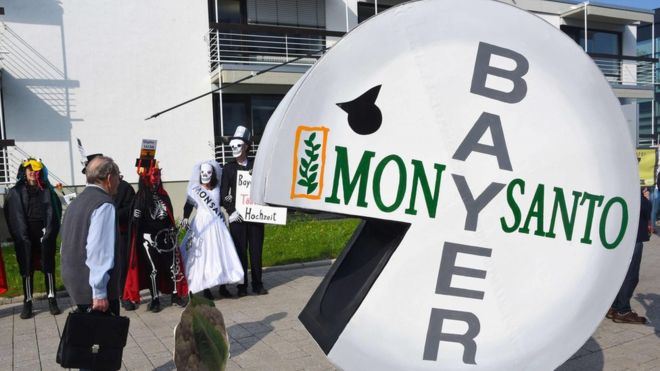bayer