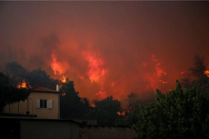 φλόγες