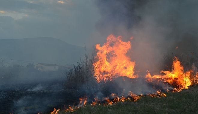 πυρκαγιές