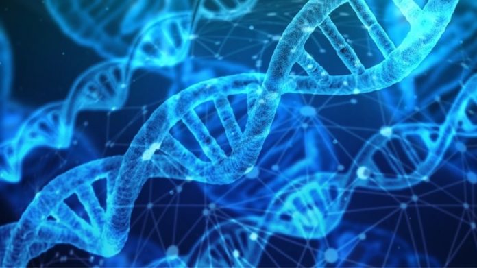 DNA