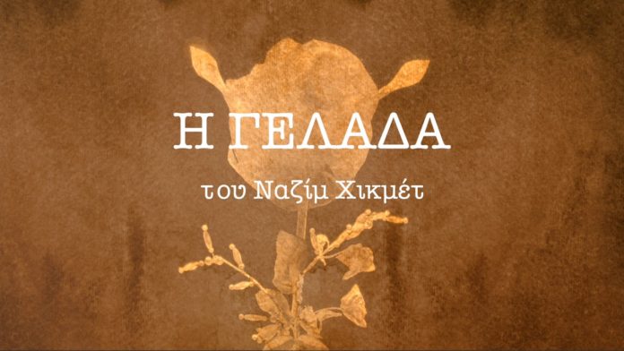 γελάδα