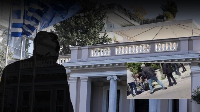 στέλεχος
