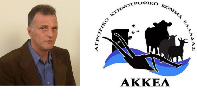 βορίδη