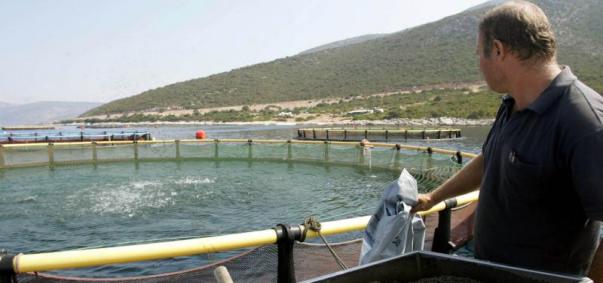 νηρέας