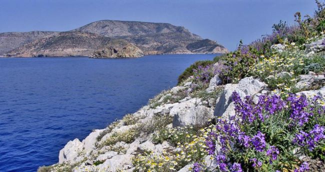 περιβαλλοντικό