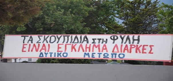 6μμ