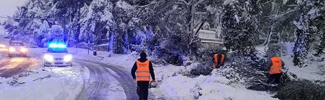 Η «Μήδεια» και το μειδίαμα
