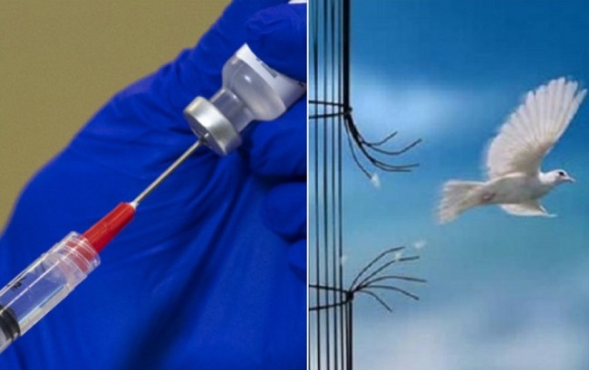 Επιχείρηση “ελευθερία” ή επιχείρηση