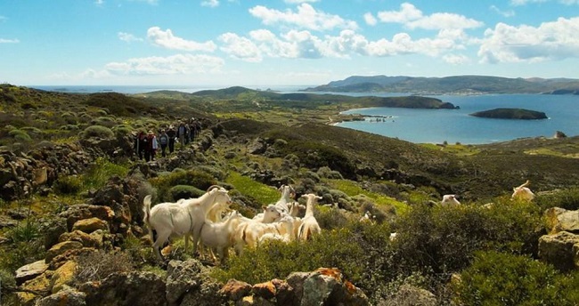 Πέντε νησιά Αιγαίου στις 7 πιο απειλούμενες