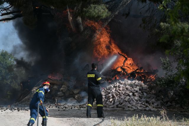 φωτιά στη Δροσιά Αχαΐας