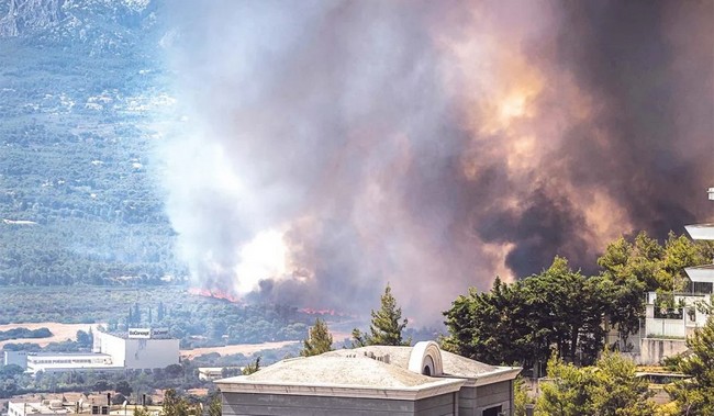 Βραδυφλεγής «βόμβα» καρκίνου