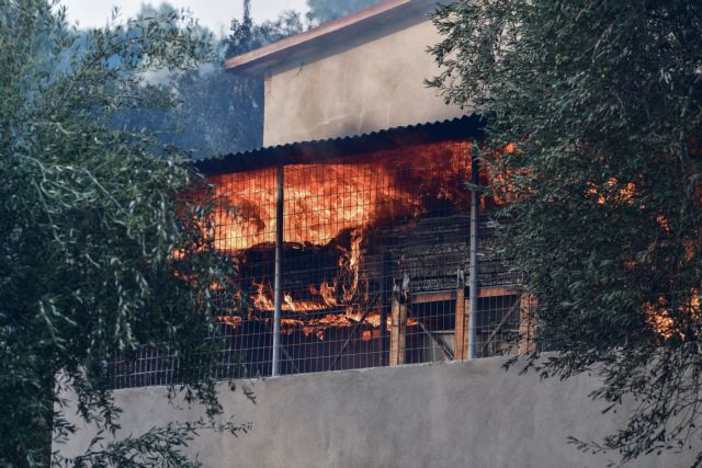 πύρινη λαίπαπα Γορτυνία
