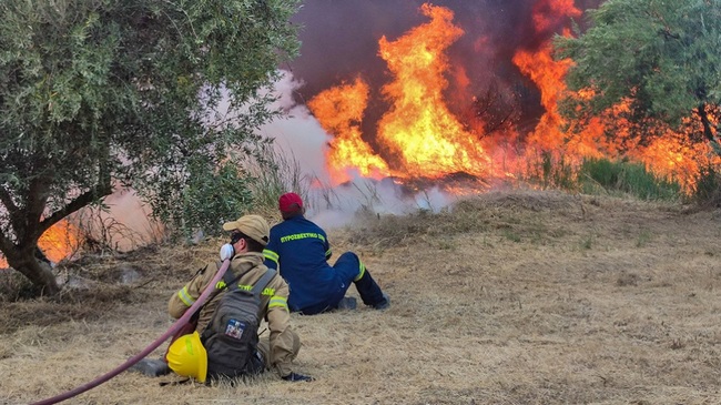 δόγμα των εκκενώσεων είναι κολοβό