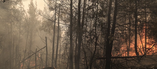 Κόστος τρομακτικό και αποτέλεσμα αμφιλεγόμενο