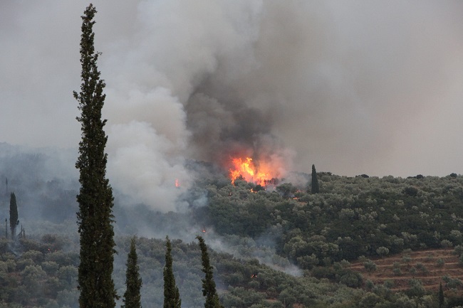 Η Χριστιανική Δημοκρατία για τις καταστροφικές πυρκαγιές