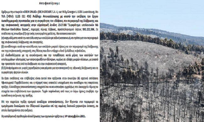 Μπίζνες στα καμένα