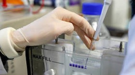 Βρέθηκαν αντισώματα που εξουδετερώνουν