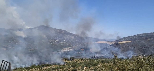 Επιτροπή πυρόπληκτων Ανατολικής Μάνης