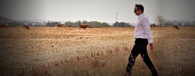 Ο Κ.Μητσοτάκης εισέπραξε αγροτική επιδότηση