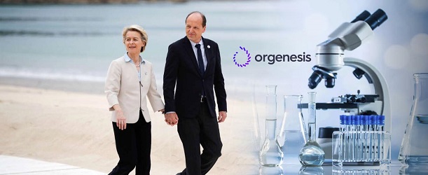 Πώς η κυβέρνηση Μητσοτάκη