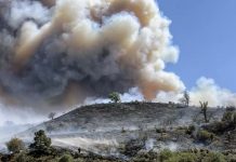Όλη η Ελλάδα έχει πνιγεί μέσα στους καπνούς των πυρκαγιών