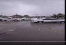 Έβρεξε ψάρια στο Ιράν.(video)