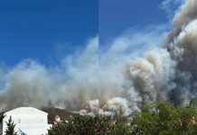 Ανεξέλεγκτη καταστροφική πυρκαγιά στην Εύβοια: Κάηκε μέχρι και πυροσβεστικό