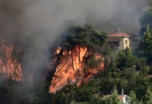 Κόλαση φωτιάς καίει σπίτια στον Βαρνάβα,25 μέτρα οι φλόγες – Εφιάλτης στα Μέγαρα
