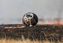 Επέστρεψε στη Γη η ρωσική «Κιβωτός του Νώε» με 75 ποντίκια, 1.500 μύγες και πάνω από 30 πειράματα(βίντεο)