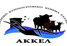 ΑΚΚΕΛ: Μετά τις επιδοτήσεις ή ΑΑΔΕ κλέβει και τις αποζημιώσεις των κτηνοτρόφων των οποίων η κυβέρνηση σκότωσε τα ζώα τους