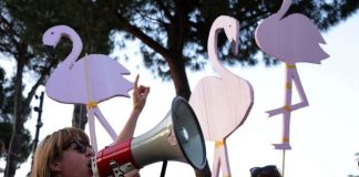 «Εξέγερση των Φλαμίνγκο»: Η νέα γενιά της Αλβανίας μετατρέπει την αγανάκτηση σε πολιτική δράση
